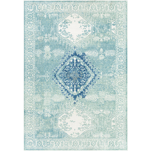 Surya Bodrum BDM-2336 Area Rug at Creative Carpet & Flooring