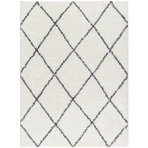 Surya Birmingham BMM-2318 Area Rug at Creative Carpet & Flooring