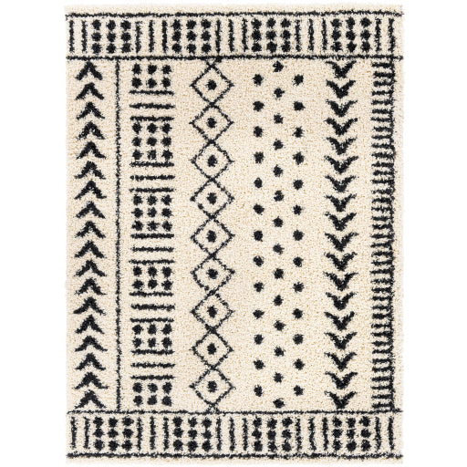 Surya Beni Shag BSH-2305 Area Rug at Creative Carpet & Flooring