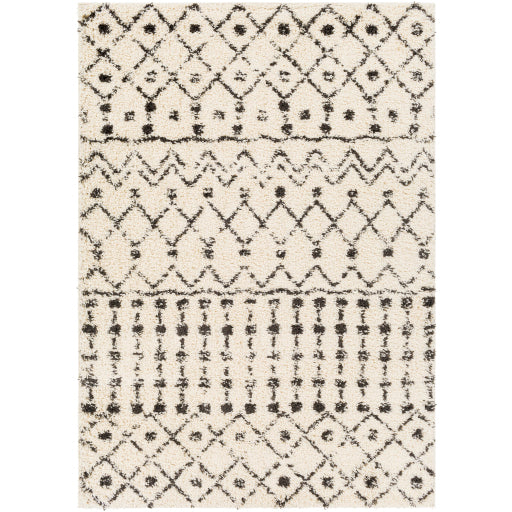 Surya Beni Shag BSH-2309 Area Rug at Creative Carpet & Flooring