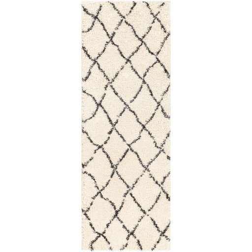 Surya Beni Shag BSH-2312 Area Rug at Creative Carpet & Flooring