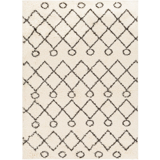 Surya Beni Shag BSH-2313 Area Rug at Creative Carpet & Flooring