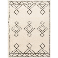 Surya Beni Shag BSH-2314 Area Rug at Creative Carpet & Flooring