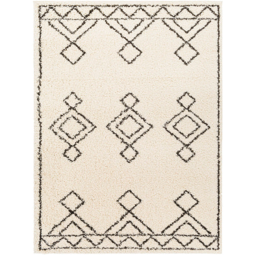 Surya Beni Shag BSH-2314 Area Rug at Creative Carpet & Flooring