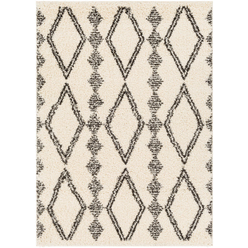 Surya Beni Shag BSH-2318 Area Rug at Creative Carpet & Flooring