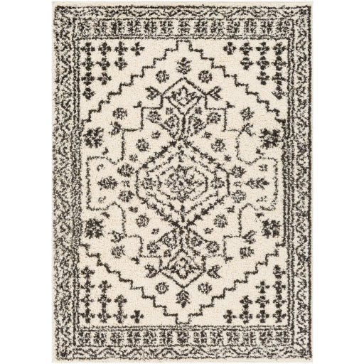 Surya Beni Shag BSH-2321 Area Rug at Creative Carpet & Flooring