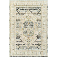 Surya Bitlis BSI-2300 Area Rug at Creative Carpet & Flooring