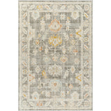 Surya Bitlis BSI-2303 Area Rug at Creative Carpet & Flooring