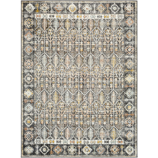 Surya Bitlis BSI-2304 Area Rug at Creative Carpet & Flooring