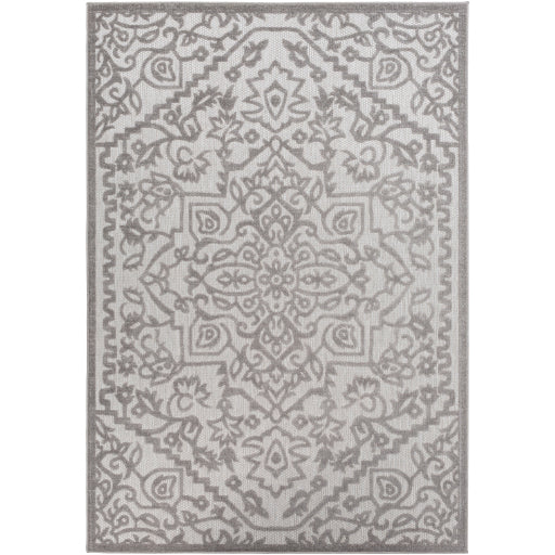 Surya Big Sur BSR-2302 Area Rug at Creative Carpet & Flooring