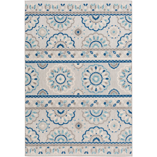 Surya Big Sur BSR-2305 Area Rug at Creative Carpet & Flooring