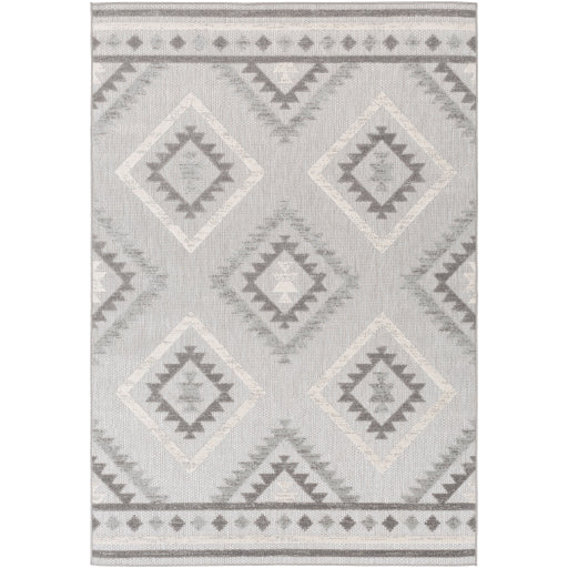 Surya Big Sur BSR-2313 Area Rug at Creative Carpet & Flooring