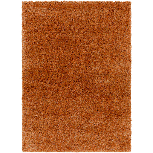 Surya Bogota Shag BTG-2306 Area Rug at Creative Carpet & Flooring