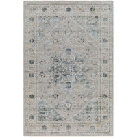 Surya Brunswick BWK-2319 Area Rug at Creative Carpet & Flooring