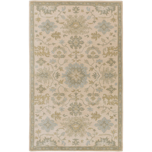 Surya Caesar CAE-1161 Area Rug at Creative Carpet & Flooring