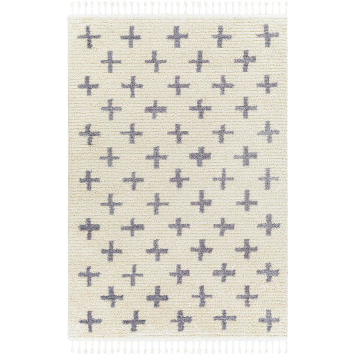 Surya Casablanca Shag CAG-2305 Area Rug at Creative Carpet & Flooring