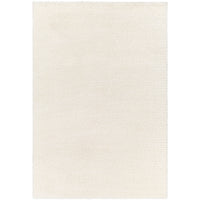 Surya Cloudy Shag CDG-2302 Area Rug at Creative Carpet & Flooring