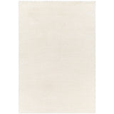 Surya Cloudy Shag CDG-2302 Area Rug at Creative Carpet & Flooring