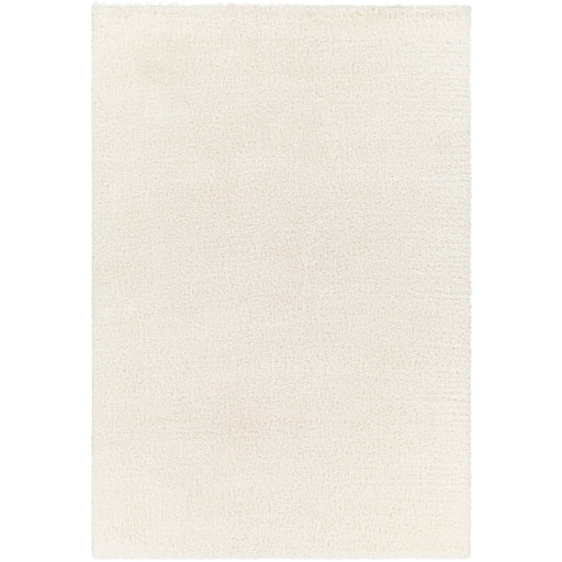 Surya Cloudy Shag CDG-2302 Area Rug at Creative Carpet & Flooring