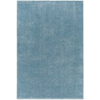 Surya Cloudy Shag CDG-2305 Area Rug at Creative Carpet & Flooring