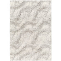 Surya Cloudy Shag CDG-2306 Area Rug at Creative Carpet & Flooring