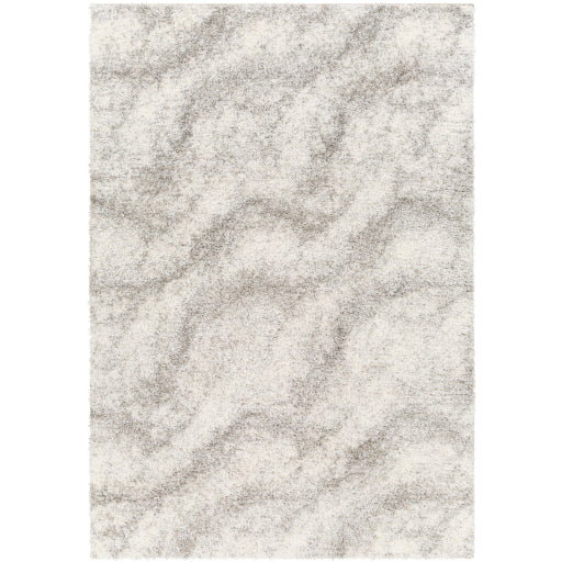 Surya Cloudy Shag CDG-2306 Area Rug at Creative Carpet & Flooring