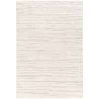 Surya Cloudy Shag CDG-2307 Area Rug at Creative Carpet & Flooring