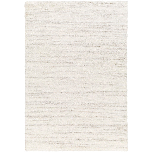 Surya Cloudy Shag CDG-2307 Area Rug at Creative Carpet & Flooring