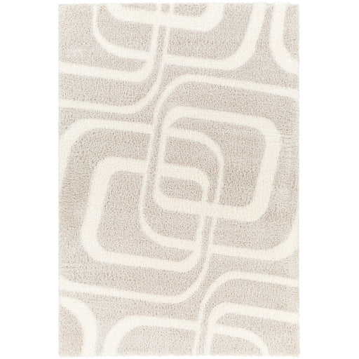 Surya Cloudy Shag CDG-2309 Area Rug at Creative Carpet & Flooring