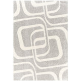 Surya Cloudy Shag CDG-2310 Area Rug at Creative Carpet & Flooring