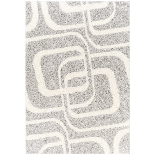 Surya Cloudy Shag CDG-2310 Area Rug at Creative Carpet & Flooring