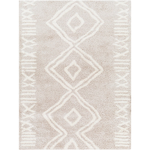 Surya Cloudy Shag CDG-2311 Area Rug at Creative Carpet & Flooring