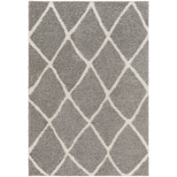 Surya Cloudy Shag CDG-2313 Area Rug at Creative Carpet & Flooring