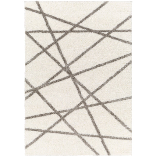 Surya Cloudy Shag CDG-2316 Area Rug at Creative Carpet & Flooring