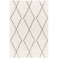 Surya Cloudy Shag CDG-2317 Area Rug at Creative Carpet & Flooring