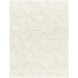 Surya Cloudy Shag CDG-2319 Area Rug at Creative Carpet & Flooring