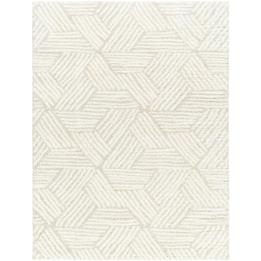 Surya Cloudy Shag CDG-2319 Area Rug at Creative Carpet & Flooring