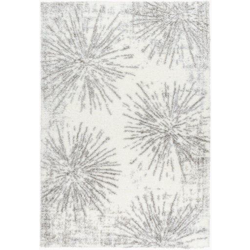 Surya Cloudy Shag CDG-2327 Area Rug at Creative Carpet & Flooring