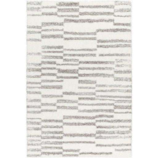 Surya Cloudy Shag CDG-2328 Area Rug at Creative Carpet & Flooring