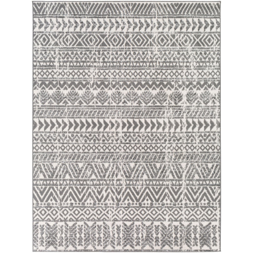 Surya Cesar CEG-2326 Area Rug at Creative Carpet & Flooring