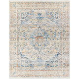 Surya Chicago CHG-2308 Area Rug at Creative Carpet & Flooring