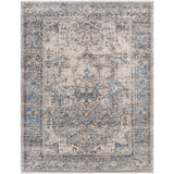 Surya Chicago CHG-2312 Area Rug at Creative Carpet & Flooring