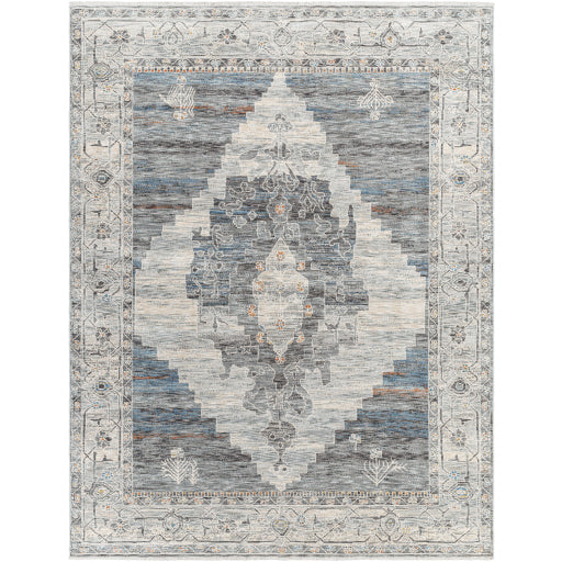 Surya Chicago CHG-2314 Area Rug at Creative Carpet & Flooring