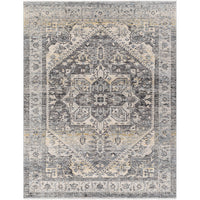 Surya Chicago CHG-2316 Area Rug at Creative Carpet & Flooring