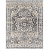 Surya Chicago CHG-2316 Area Rug at Creative Carpet & Flooring