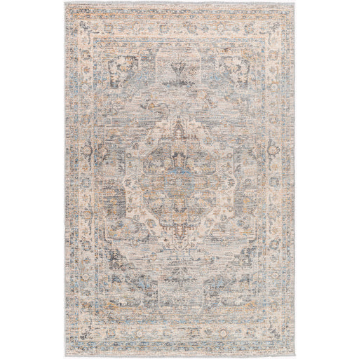 Surya Chicago CHG-2317 Area Rug at Creative Carpet & Flooring