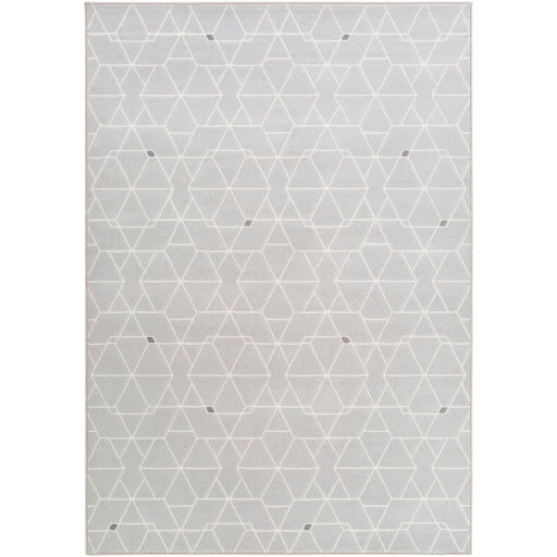 Surya Contempo CPO-3713 Area Rug at Creative Carpet & Flooring