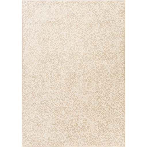 Surya Contempo CPO-3849 Area Rug at Creative Carpet & Flooring