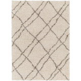 Surya Capella Shag CPS-2306 Area Rug at Creative Carpet & Flooring