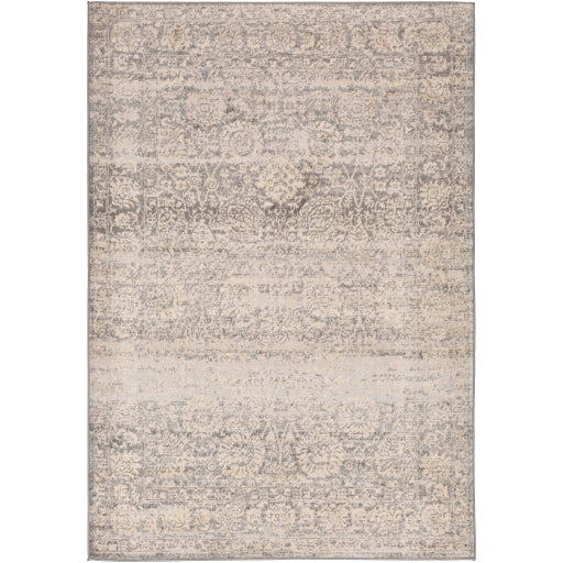 Surya City Light CYL-2300 Area Rug at Creative Carpet & Flooring